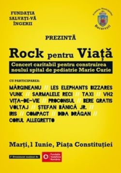 Concert caritabil rock in Piata Constitutiei