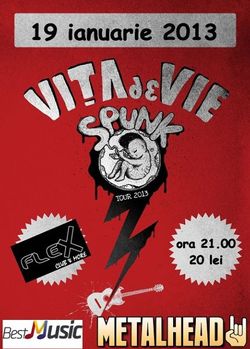 Vita De Vie Spunk Tour 2013: Concert in Arad in club Flex