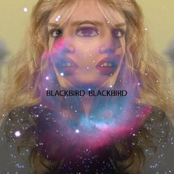 Concert Blackbird Blackbird live*