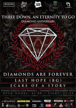 Concert aniversar Diamonds Are Forever pe 13 decembrie la Cluj-Napoca