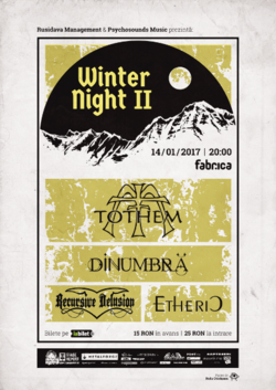 Winter Nights in Fabrica partea a II-a : TOTHEM, DINUMBRA, RECURSIVE DELUSION, ETHERIC