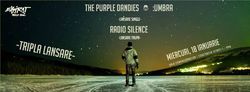 Concert The Purple Dandies, Umbra si Radio Silence pe 18 ianurie in EXPIRAT