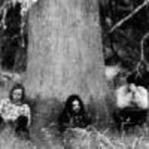 Wolves In The Throne Room