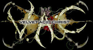 Velvet Acid Christ