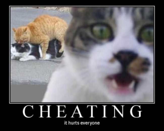 Poze Poze_MH - cheating