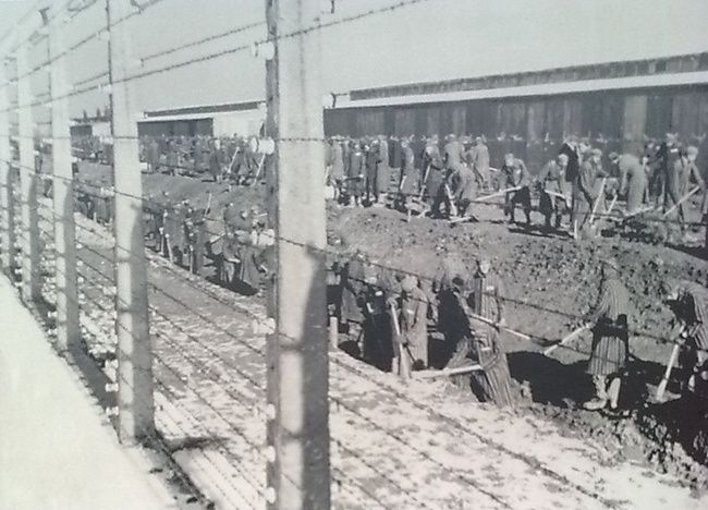 Poze Poze_MH - Auschwitz 