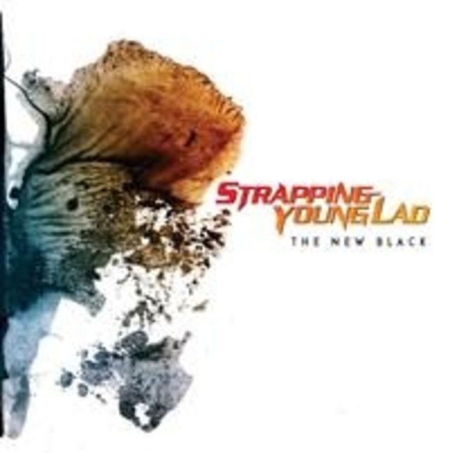 Poze Poze Strapping Young Lad - syl