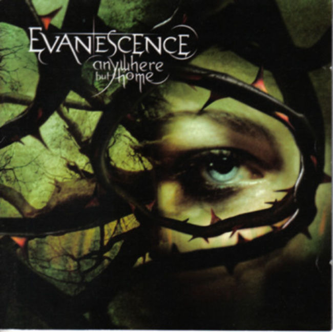 Poze Poze Evanescence - EVANESCENCE