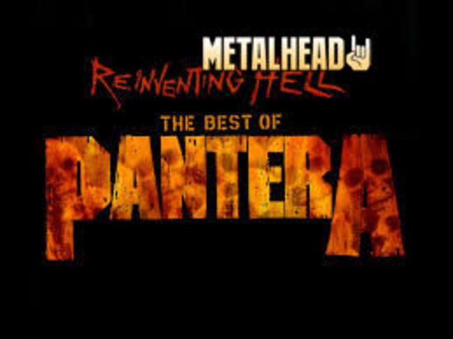 Poze Poze Pantera - pantera metal 2