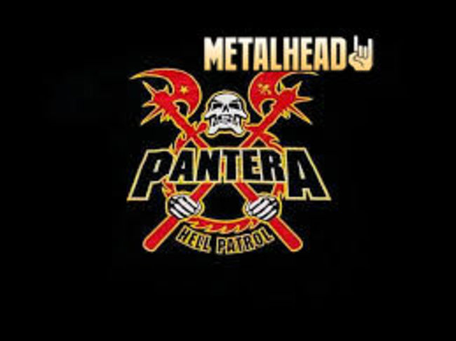 Poze Poze Pantera - pantera metal 2