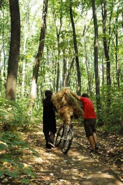 One Love Festival Comana Natural Park Poze One Love Festival