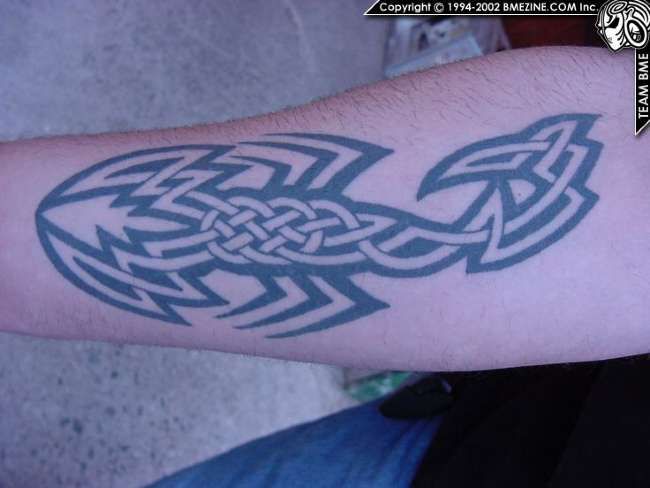 Poze Poze Tatuaje. Modele de Tatuaje (foto) - Scorpion tribal pe antebrat