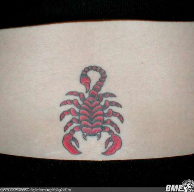 Poze Poze Tatuaje. Modele de Tatuaje (foto) - Scorpion rosu pe spate