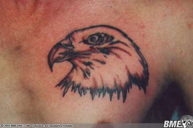 Poze Poze Tatuaje. Modele de Tatuaje (foto) - Cap de vultur pe piept
