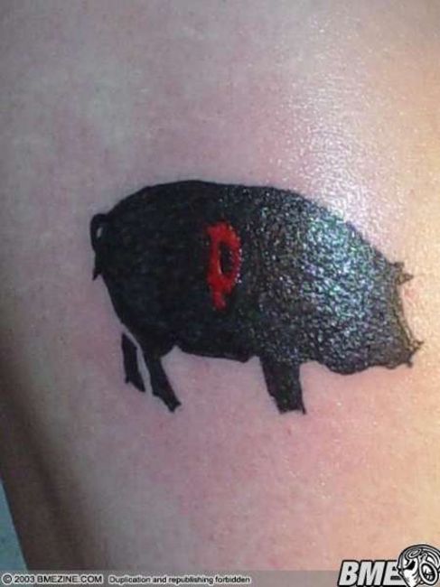 Poze Poze Tatuaje. Modele de Tatuaje (foto) - Porc