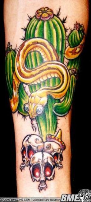 Poze Poze Tatuaje. Modele de Tatuaje (foto) - Cactus verde si craniu
