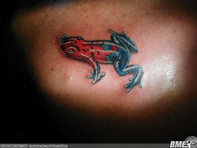 Poze Poze Tatuaje. Modele de Tatuaje (foto) - Broasca rosi si albastra 