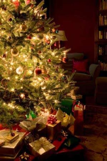 Poze Poze_MH - Christmas Tree