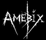 Filmari din studio cu Amebix