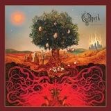 La cumparaturi de albume cu Opeth (video)