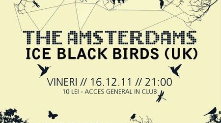 Concert The Amsterdams si Ice Black Birds in Control