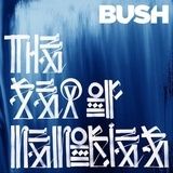 Bush au lansat un nou videoclip: Baby Come Home