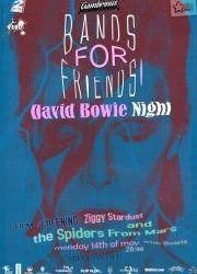 BandsForFriends: David Bowie Night in Gambrinus Pub