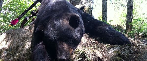 Solistul Jungle Rot a stabilit recordul pentru cel mai mare urs ucis (foto)