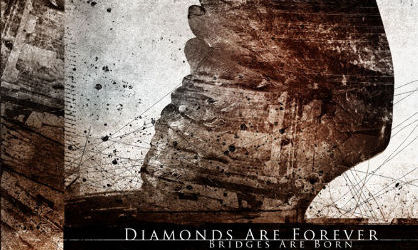 DIAMONDS ARE FOREVER dezvaluie coperta si titlul noului DVD