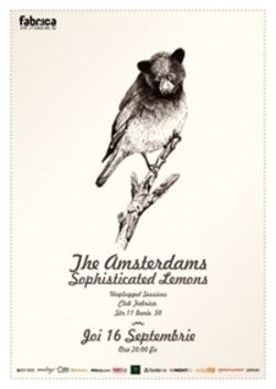 Concert unplugged The Amsterdams si Sophisticated Lemons in Fabrica