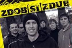 Concert de Revelion in Piata Constitutiei - Iris, Holograf si Zdob si Zdub